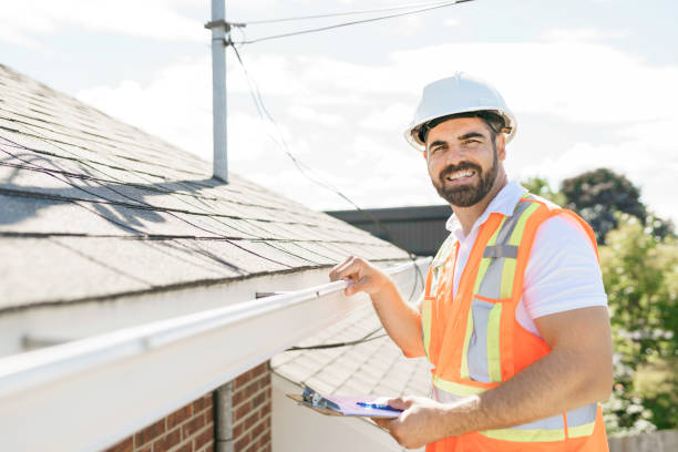Best Roof Gutter Cleaning  in Plymouth, MI