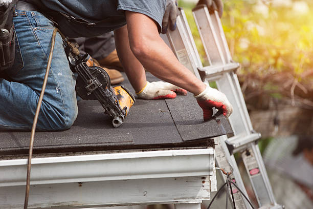 Roof Gutter Cleaning