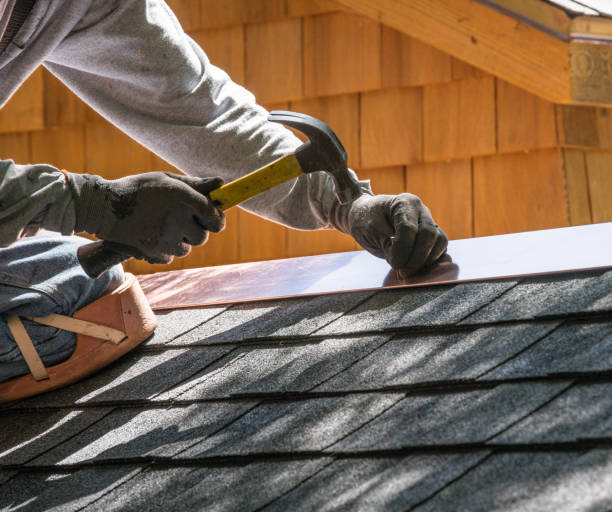 Best Local Roofing Companies  in Plymouth, MI